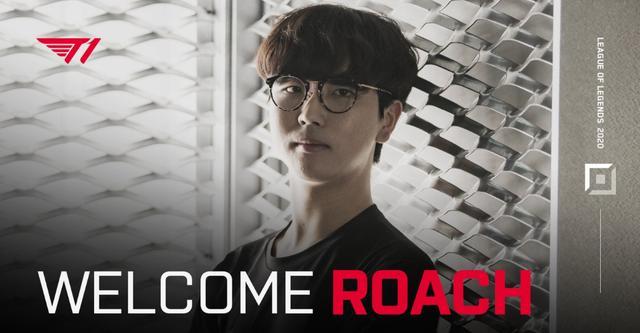 再次成为球 再次成为球